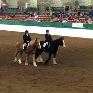 Meet your Posher, Anne